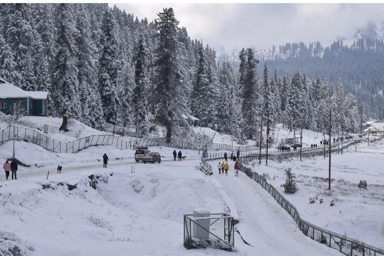 The Gulmarg bowel was jam-packed