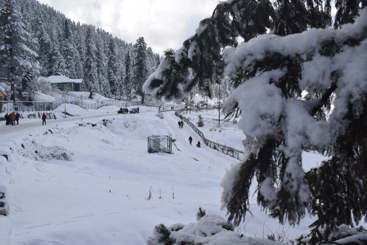 Hundreds of tourists across the country were seen doing Gandola cable car rides and sledge rides
