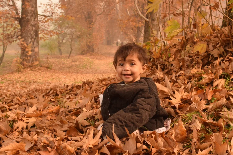 The vivacious Kashmir autumn: Photo Feature:Basit Zargar 