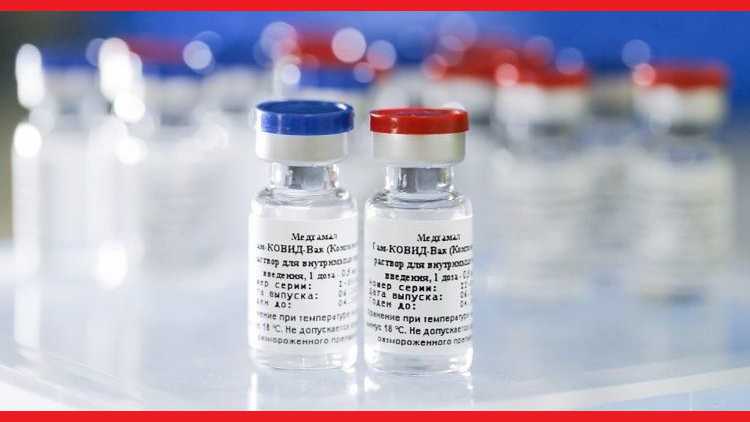 Sputnik vaccine