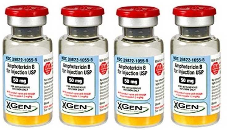 Amphotericin B, anti-Black Fungus drug