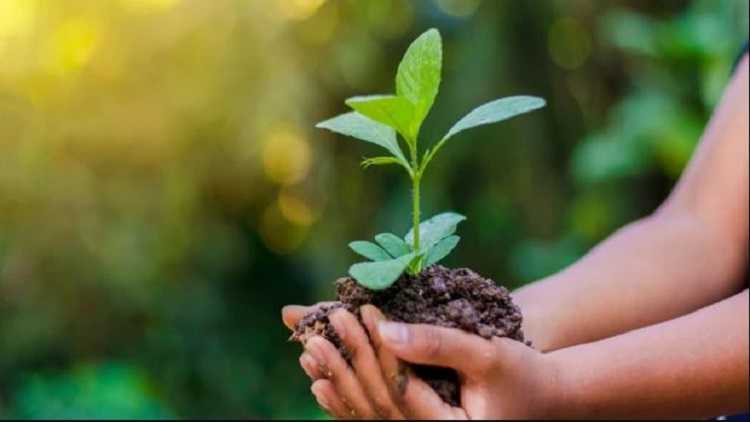 World Environment Day 2021