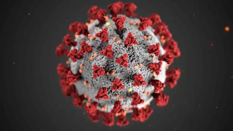 Corona virus (representational)
