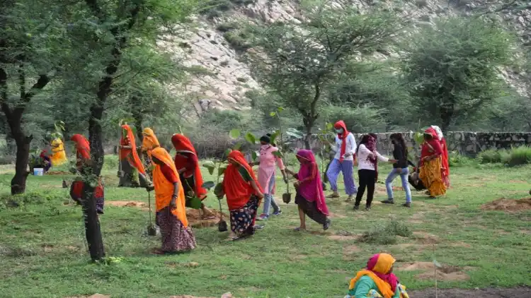 Women Planting banyan saplings