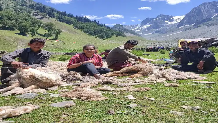 Tulika Anand with shepherds in Kashmir