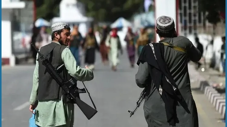 US Senators seek probe into Pak's role in assisting Taliban