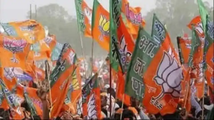 BJP flag