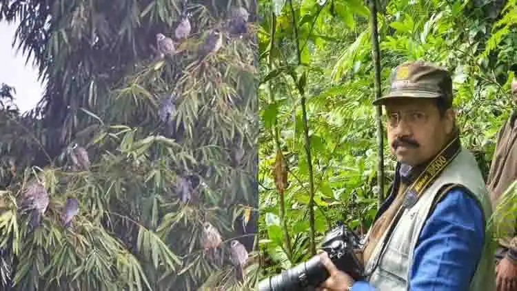 Anwaruddin Choudhury and his team in rainforests of Upper Assam waiting for Winged Wood Duck (Pictures by: Dr Anwaruddin Choudhury)