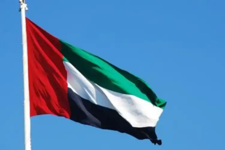 The National flag of the UAE