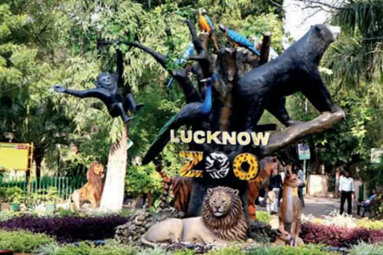 The entrance to Lucknow Zoo