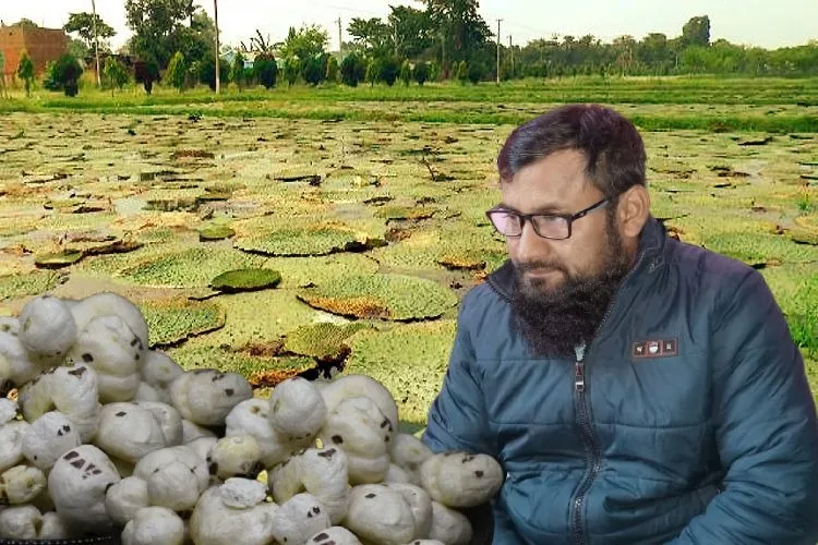Dr Asif Iqbal in his Fox Nut (Makahana) field