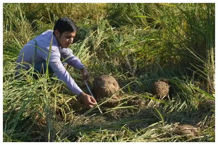 Nazimur Rahman Talukdar n the field