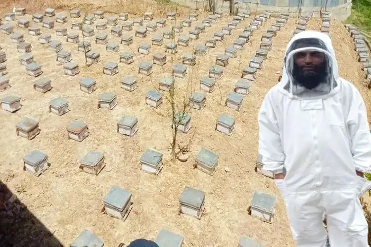 Altaf Ahmed Bhat in his field with beehives in boxes