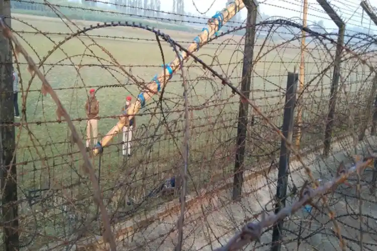 The smugglers tried to loft the cattle over the barbed wire fence.