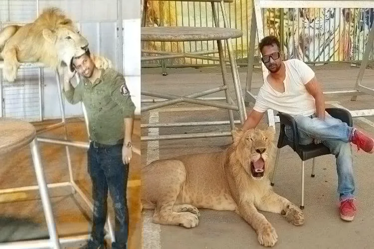 Ashfaq Ahmed plays with a Lion