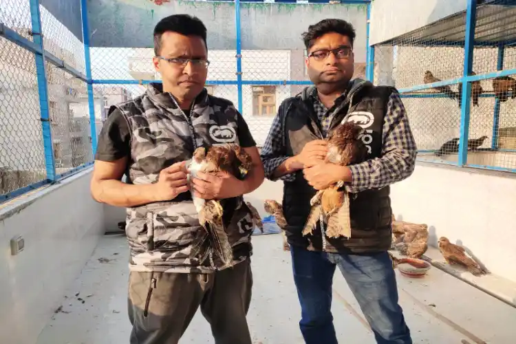 Mohammad Saud and Nadeem Shehzad with injured kites at the Wazirabad Wildlife Rescue Centre. 