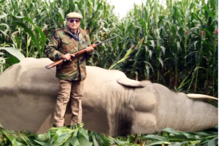 Nawab Shafath Ali Khan with a rogue elephant that he had shot in Bihar in 2016