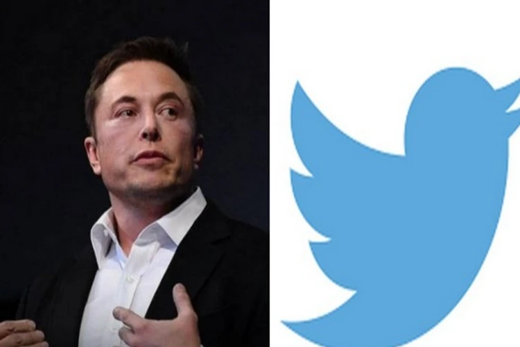 Elon musk, twitter logo