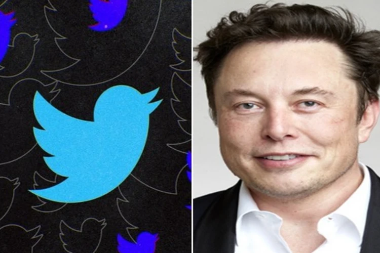 Elon Musk and Twitter logo