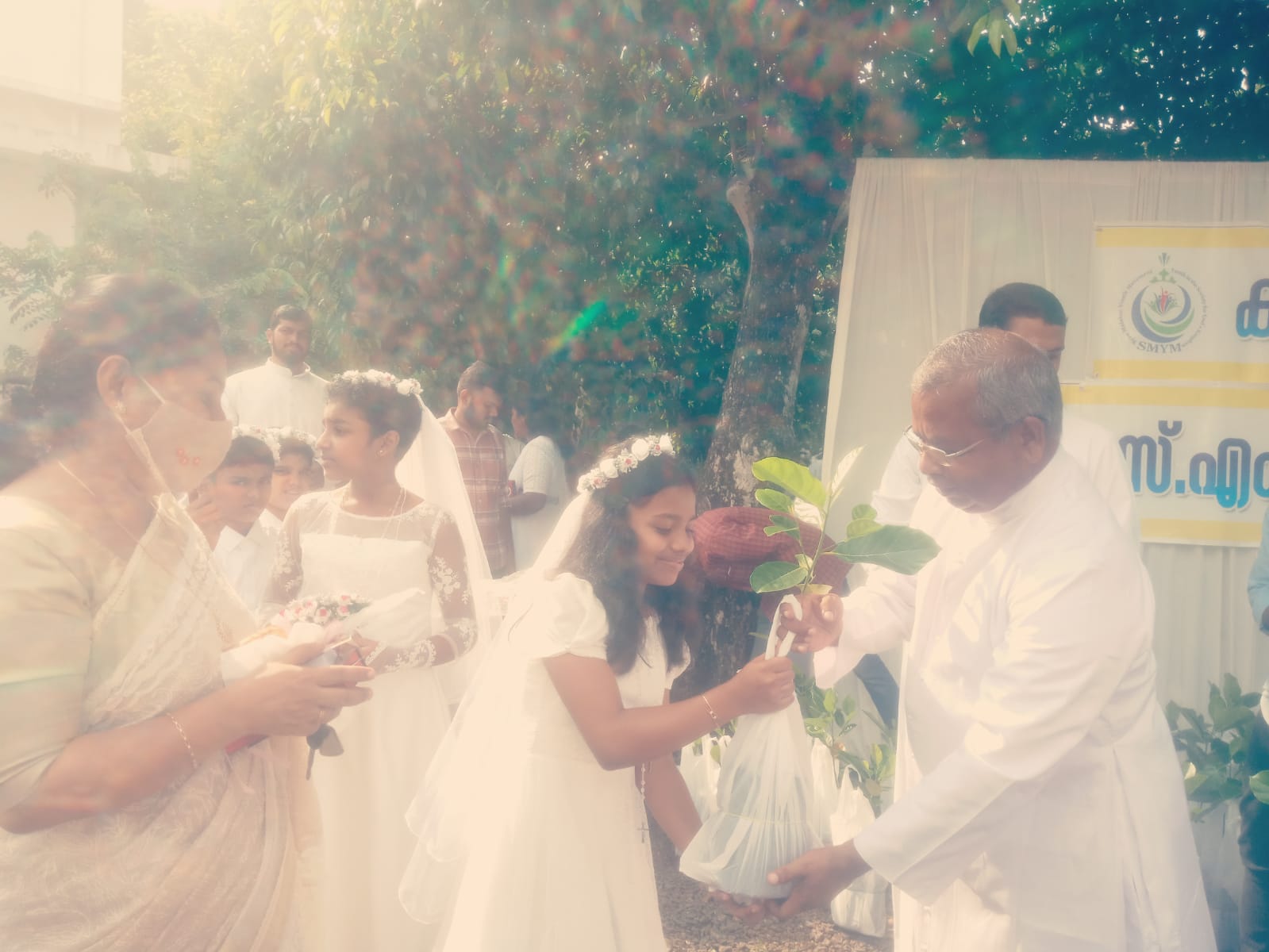 Kids receiving holy sapling