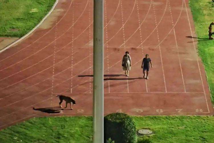 Image of the IAS couple walking with their dog in stadium (Courtesy: Indian Express Twitter)