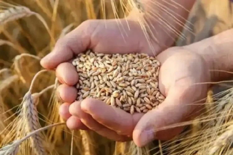 A representational image