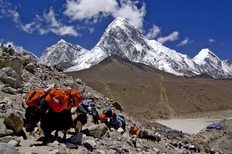 Mount Everest (Picture courtesy: Nepal Tourism Board)
