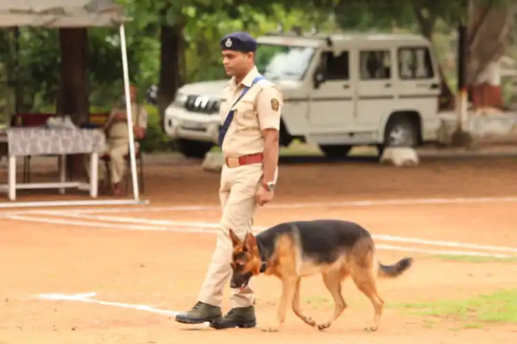A snifer dog with his handler (Picture credit: WWF India)