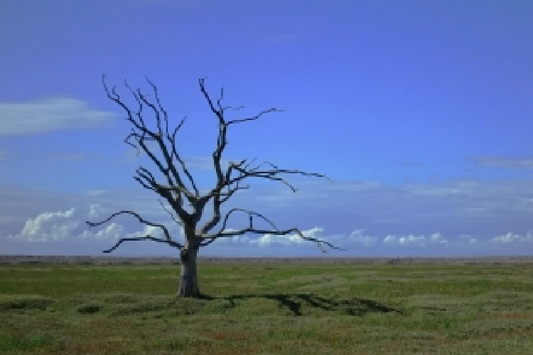 A representational image