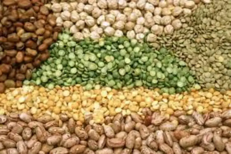 Varies of Pulses grown in Indian