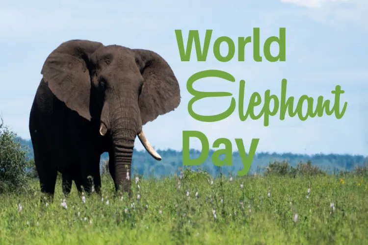 World Elephant Day