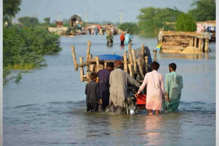 Survivors salvage belongings in flood hit Pakistan