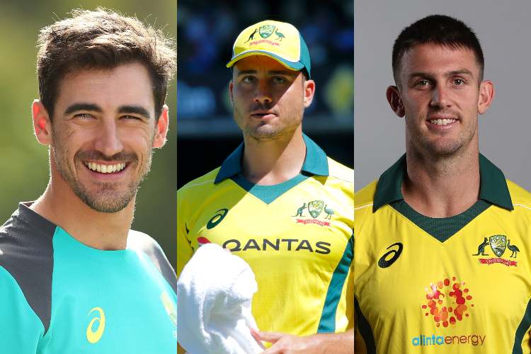 Starc, Stoinis and Marsh will miss the India tour due to injuries