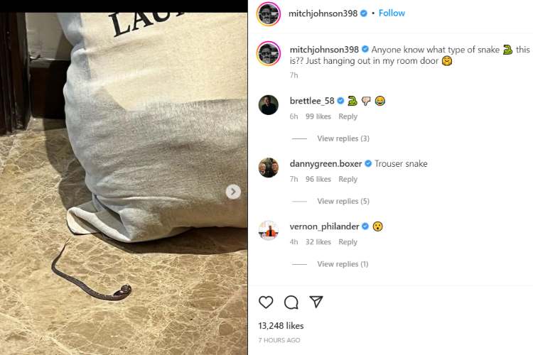 Mitchell Johnson shared the discovery of the snake on his Instagram page