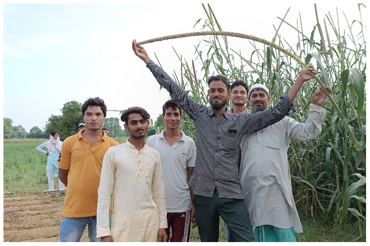 Tayyab showing a extraordinary long bajra corn to visitors