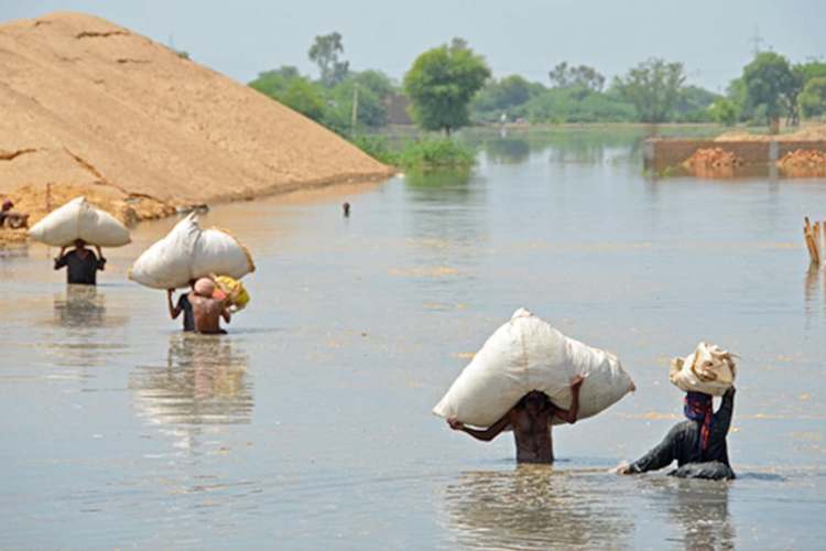 According to a survey majority of Pakistanis are unhappy with govt's response to the floods