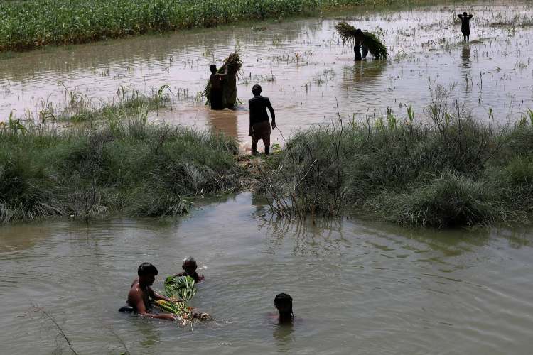 Deadly floods have destroyed 90 per cent of crops in Pakistan