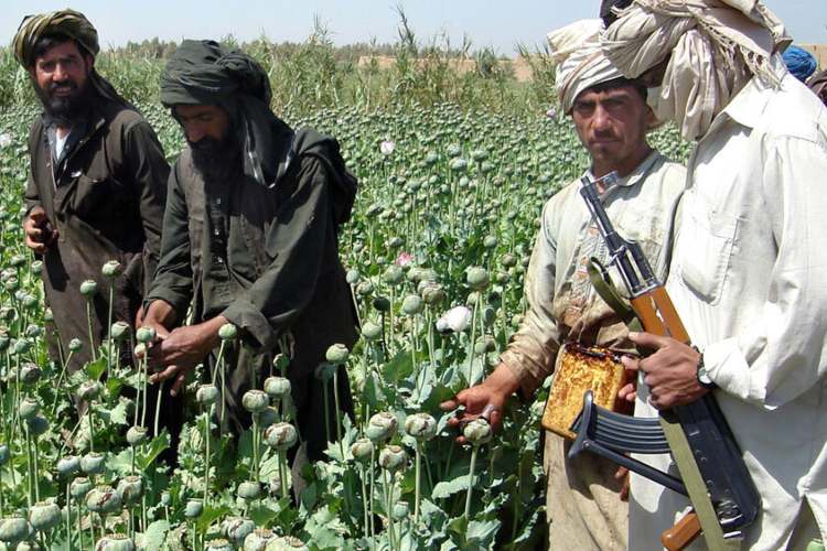 Pakistan serves as a transit corridor for narcotics smuggling from Afghanistan