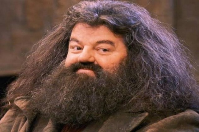 'Harry Potter' actor Robbie Coltrane