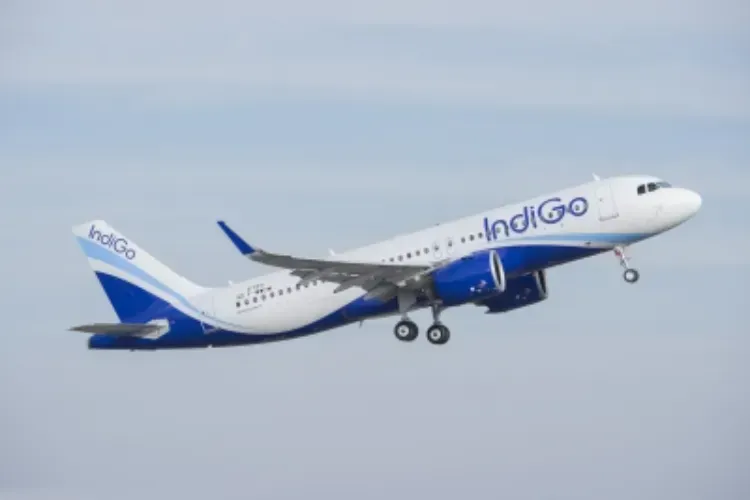 An Indigo aircraft