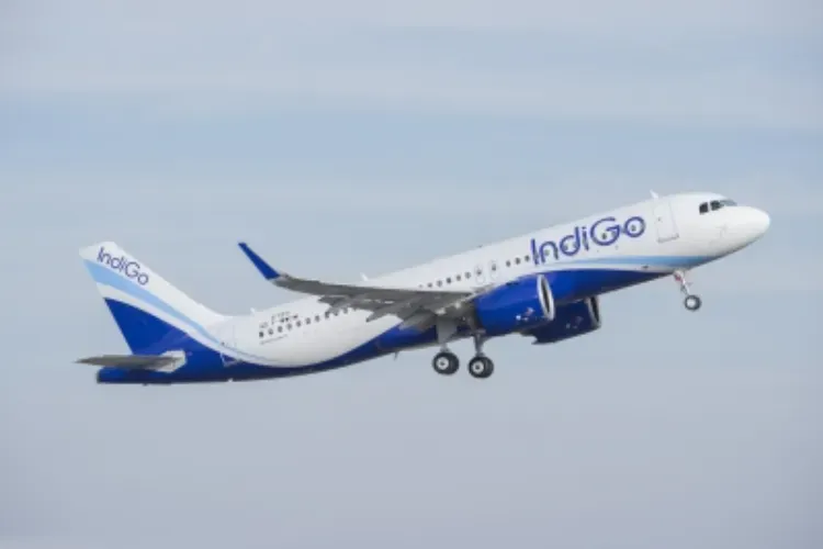 Indigo aircraft