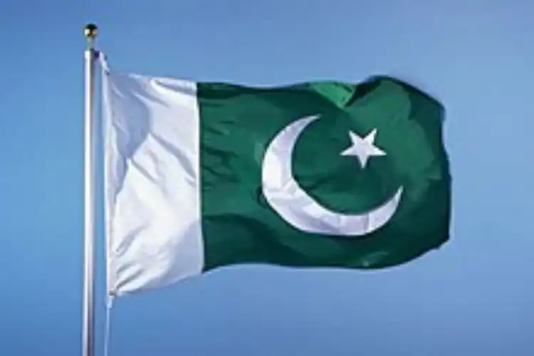 The flag of Pakistan