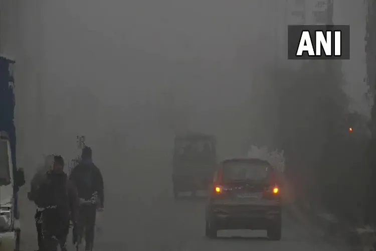 Residents of Delhi braving the cold and fog