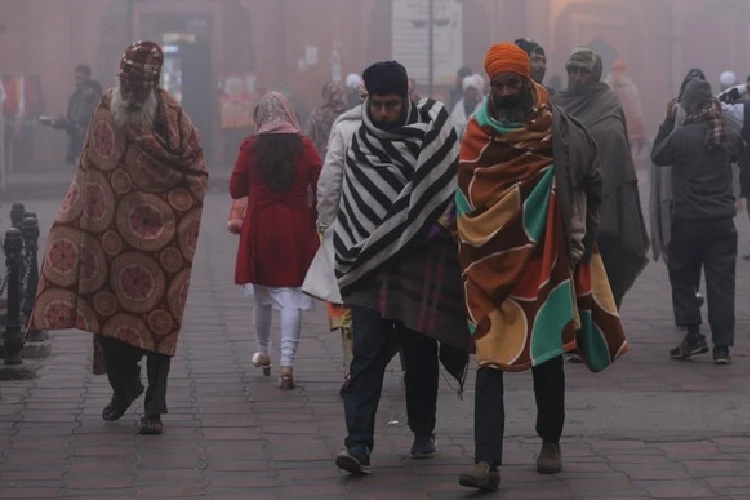 A representative image