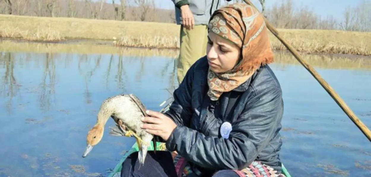 Aaliya Mir, Kashmir's wildlife conservator 