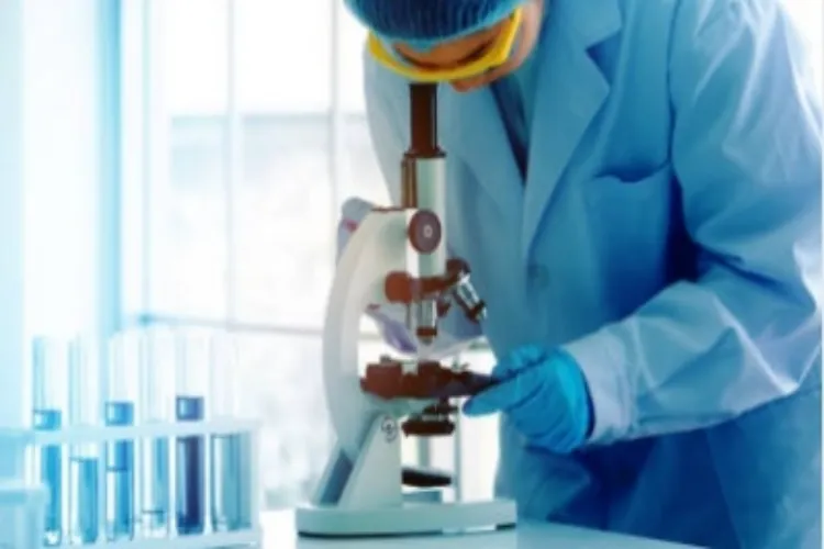Representational image of laboratory examination of samples