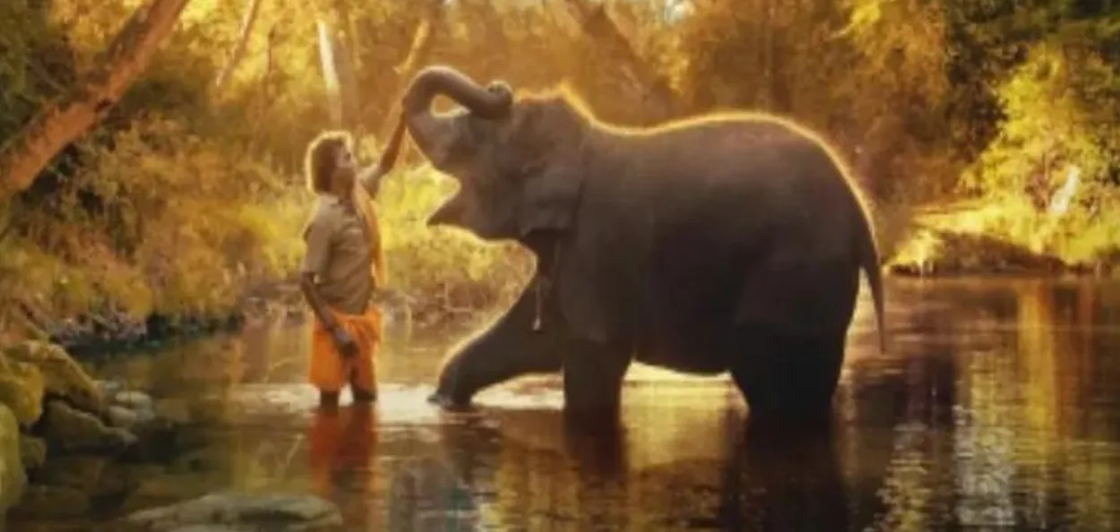 A scene from the Elephant Whisperers 