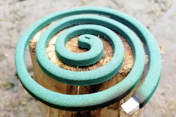 Delhi Six suffocate to death from burning mosquito coil