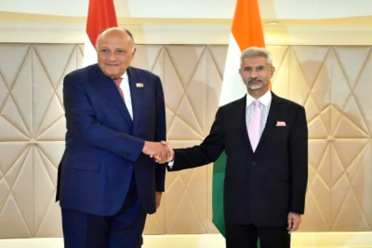  Egyptian Foreign Minister Sameh Shoukry with India's External Affairs Minister, S. Jaishankar