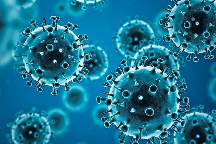 Coronavirus